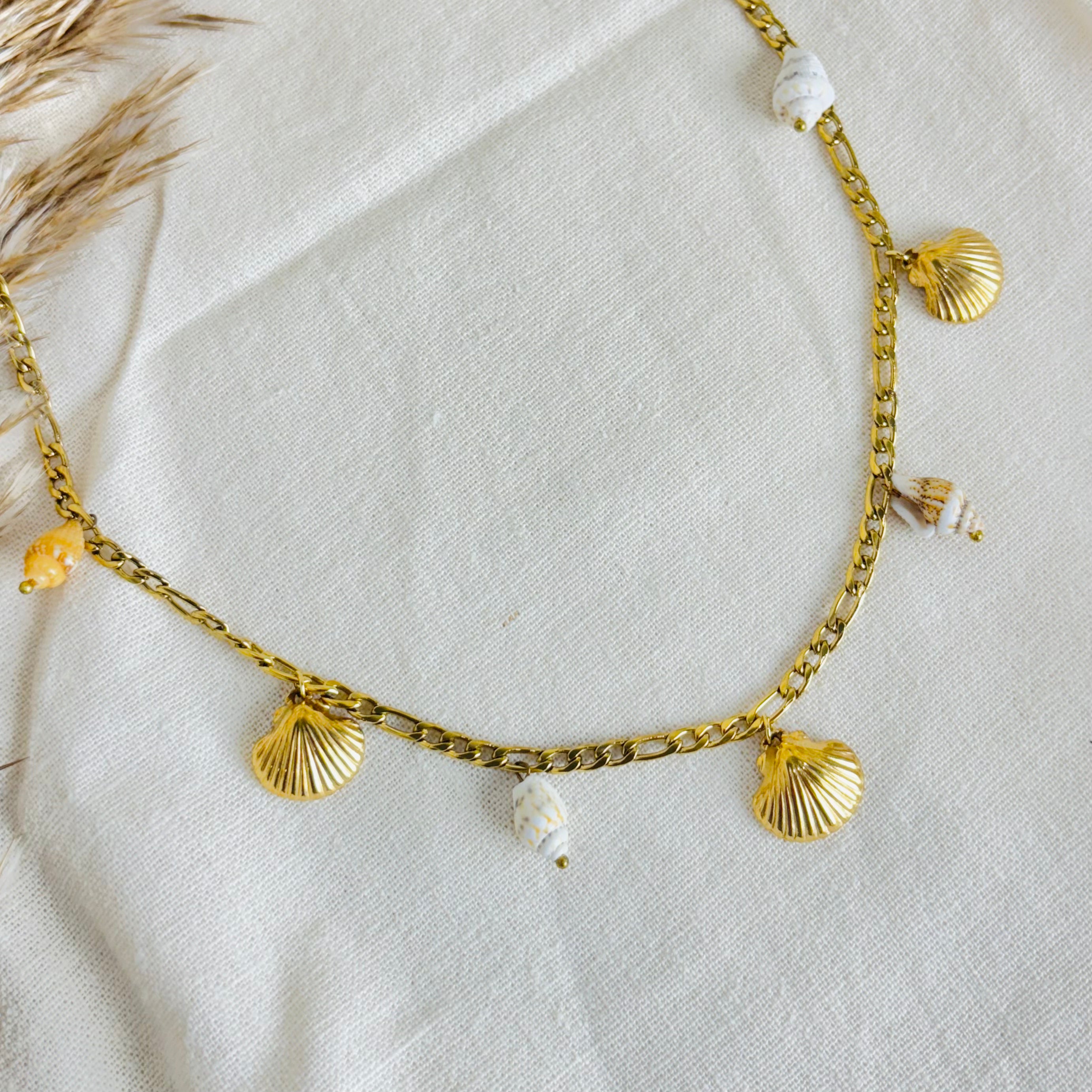 Sea Shells summer