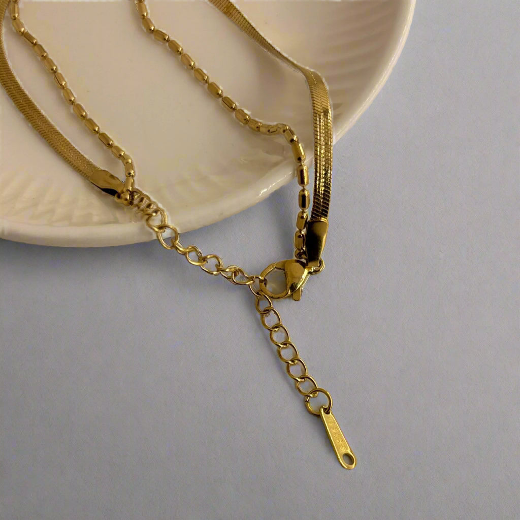 Dainty double layered anklet